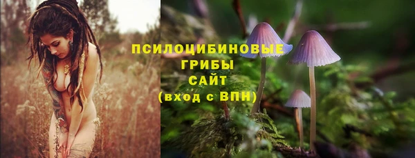 ПСИЛОЦИБИНОВЫЕ ГРИБЫ Алексеевка