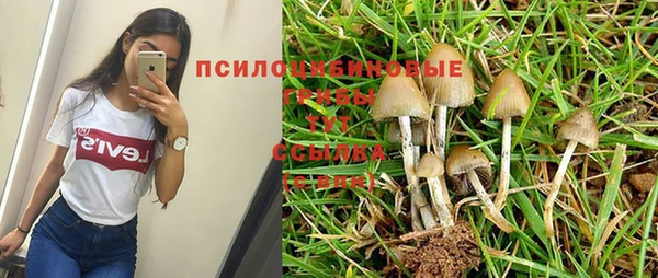2c-b Алексин