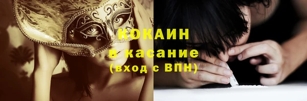 стафф Алзамай