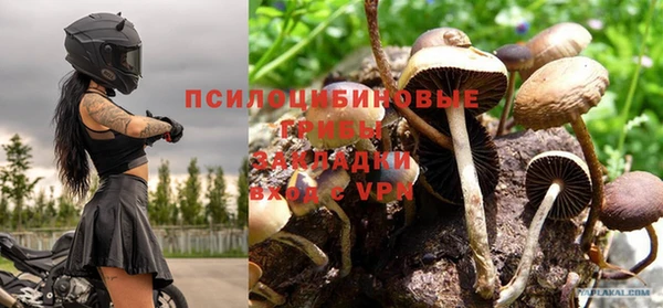 стафф Алзамай